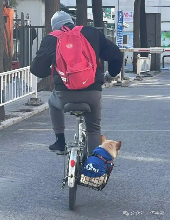 看得出来主人已经很努力地在蹬车了