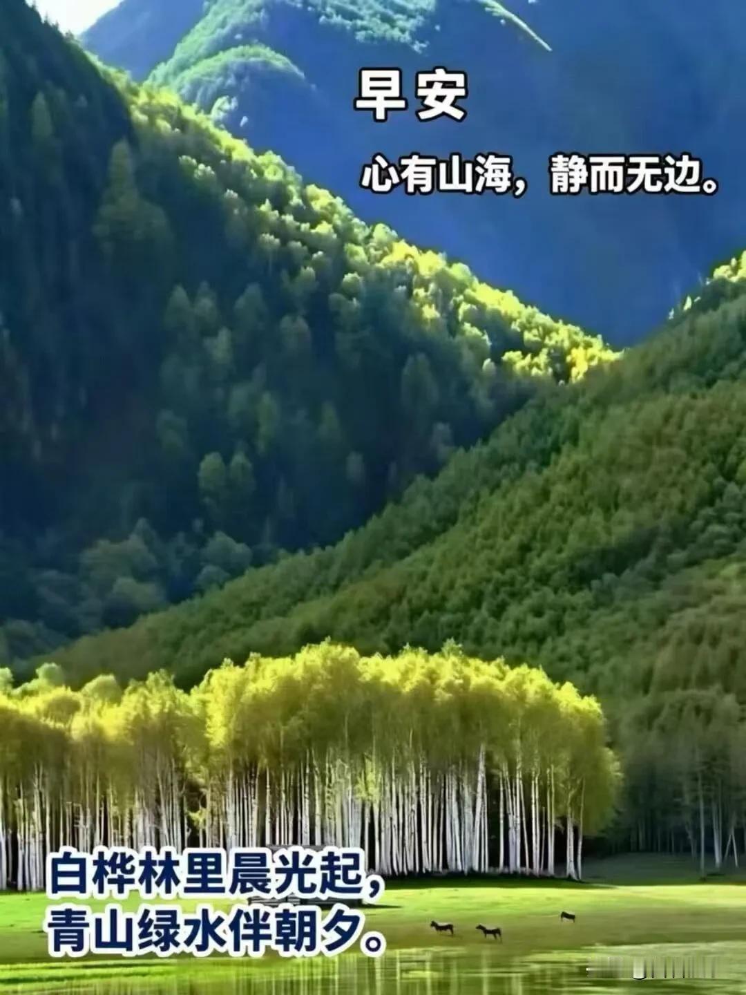 清晨一缕暖阳，万般皆是吉祥。愿亲人平安康健，日日舒心。早安！