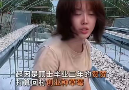 为这位女研究生深感伤心！她是农学女硕士，因工作难找去农村创业，种草莓却受到种种刁