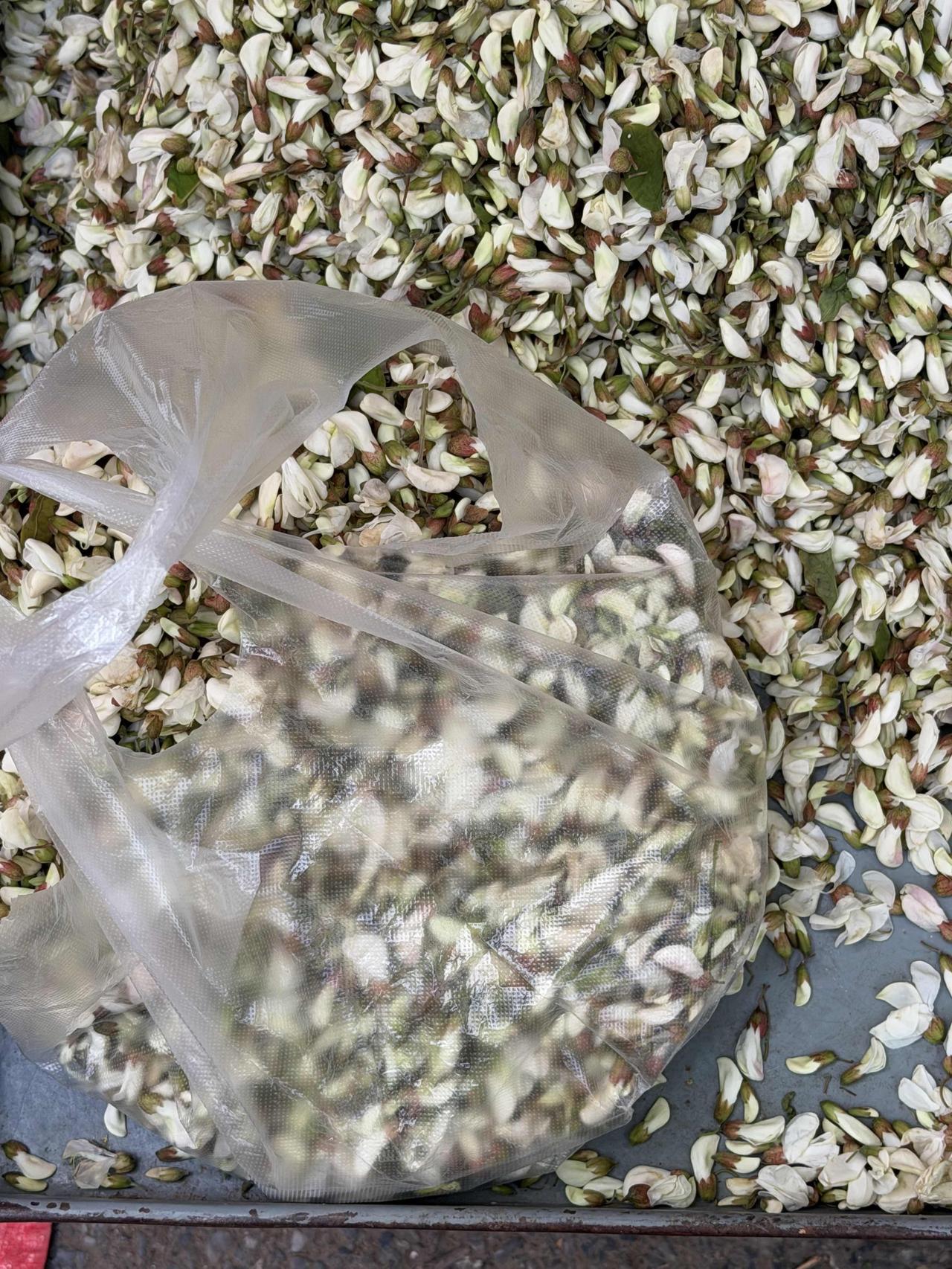 今天上午，我逛西安档子，顺便买点槐花，中午包饺子吃！现在，槐花便宜了，3块钱一