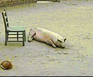 好丢人……