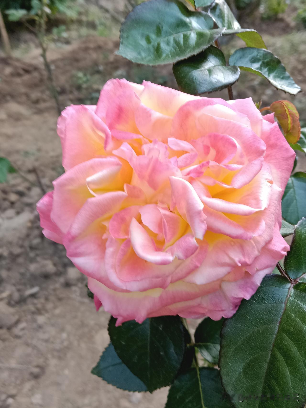 一辈子三不说，越不说越好命人这一生，想要日子安稳、福气绵长，一定要管住自己的