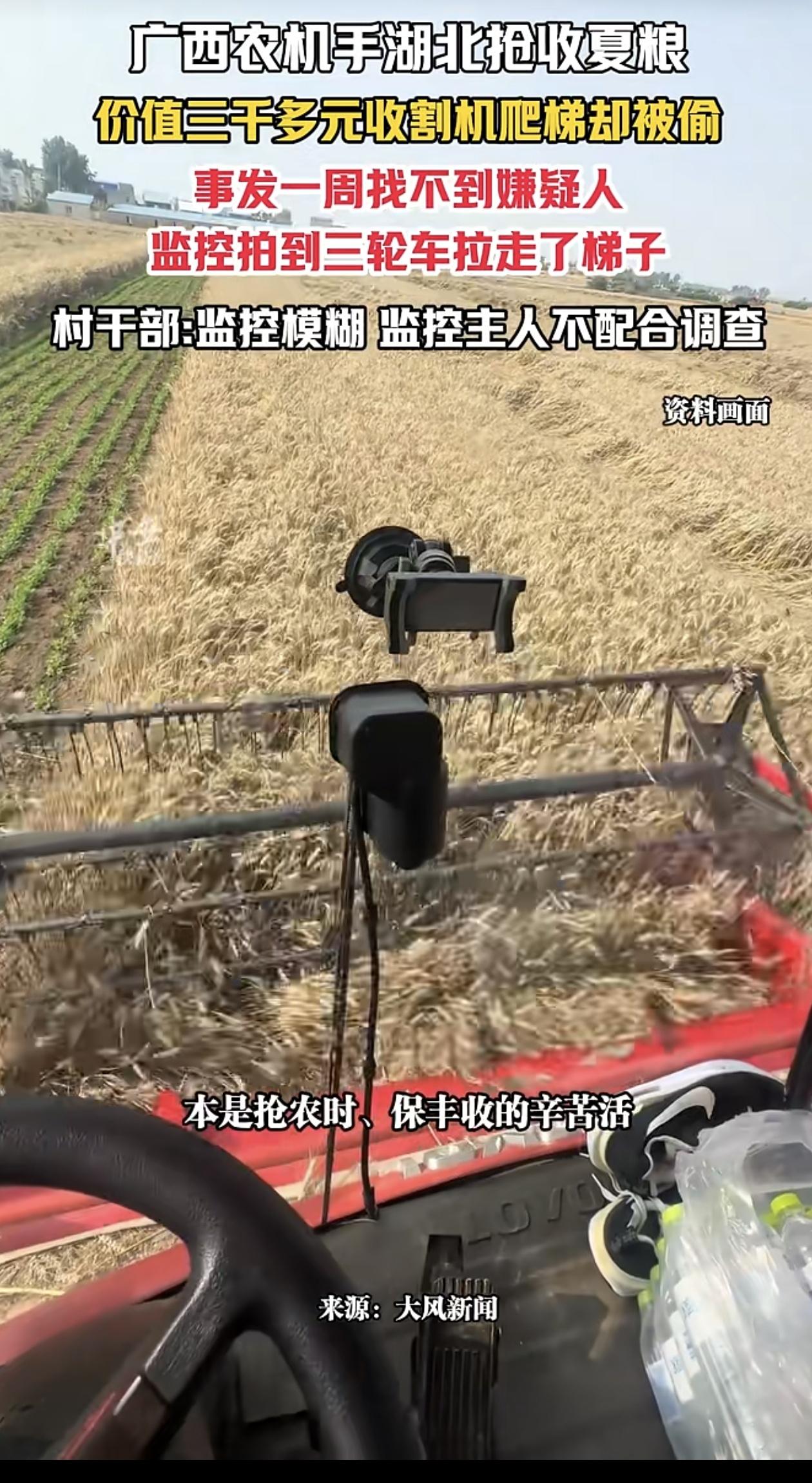 外地农机手来湖北帮忙抢收麦子，配套梯子竟被当地人偷走，真是丢人！老话讲天上
