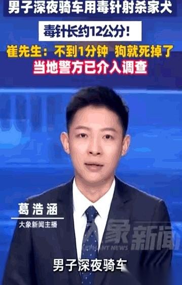 浙江嘉兴，深夜。一户人家的门口，一条养了两年的狗正在溜达。远处，引擎声由远及近