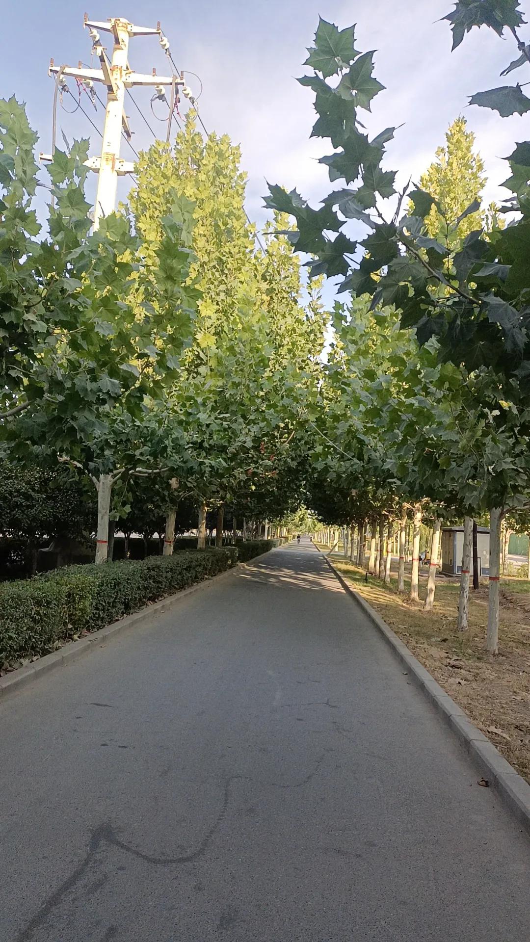 网友:女儿今年洛阳师范学院本科毕业，没逃过毕业即失业的魔咒，又回到了我们这个