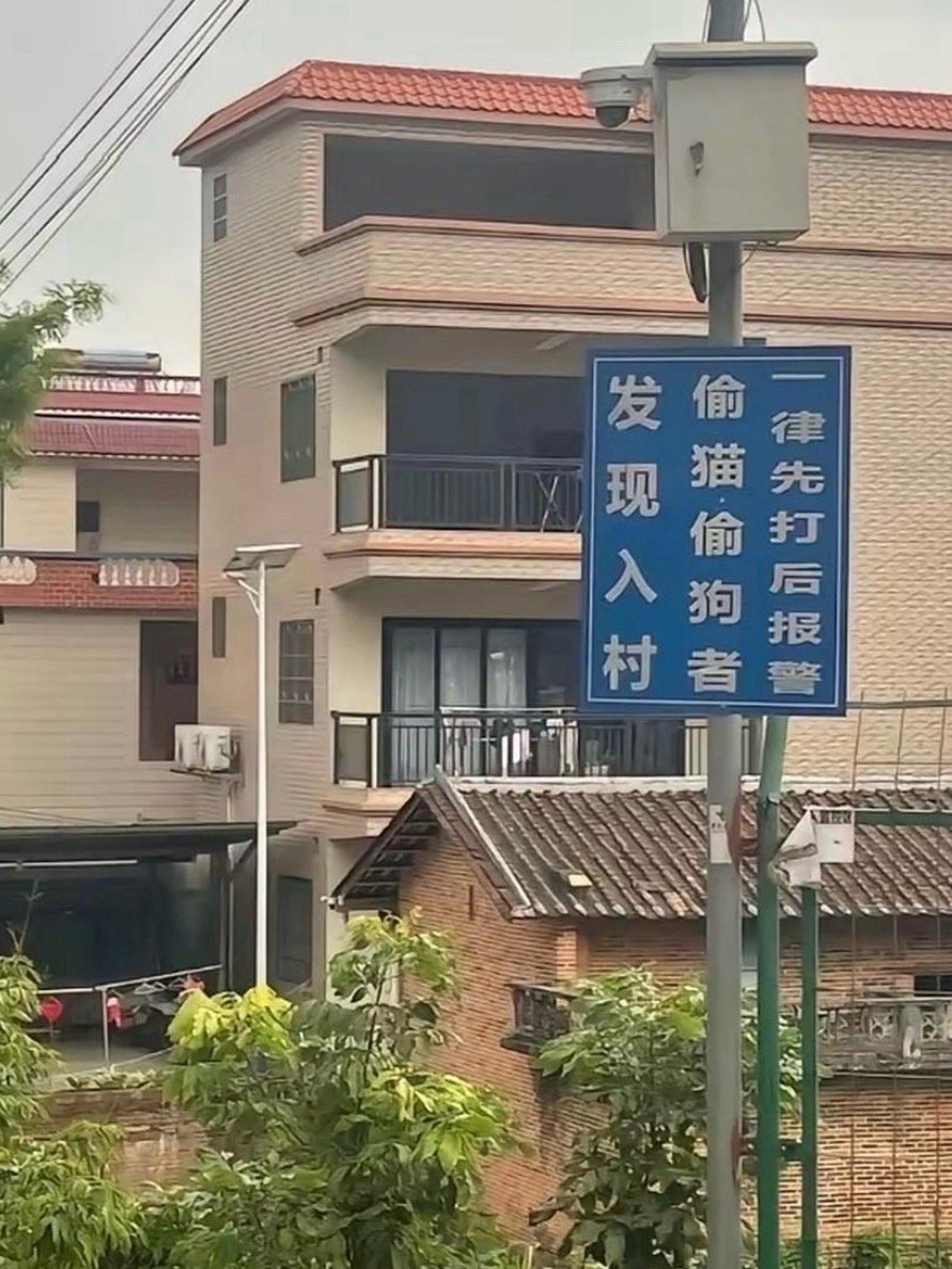 这个村的人是不是没有人敢欺负