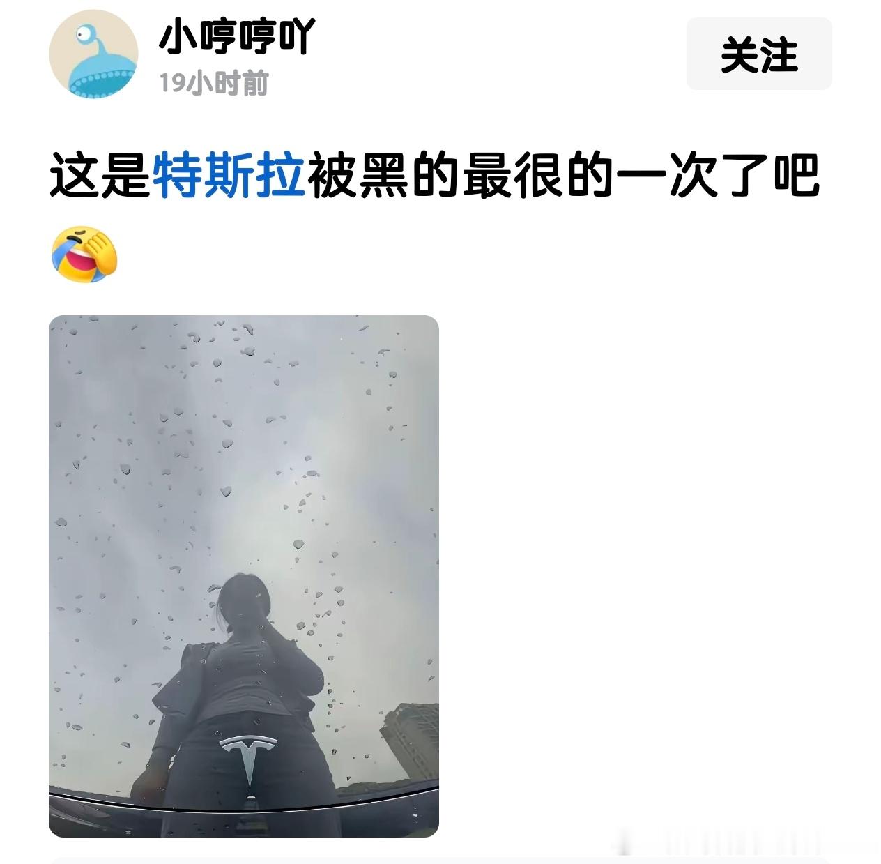 这女人也是个人才，要是雷诺呢？