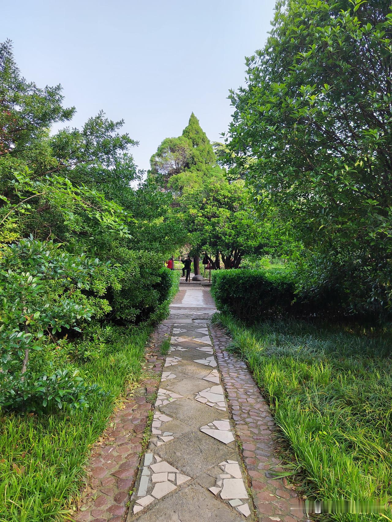 退休后你有失落的感觉吗?退休后，我有一种深深的失落，现在还没调整过来呢！我是