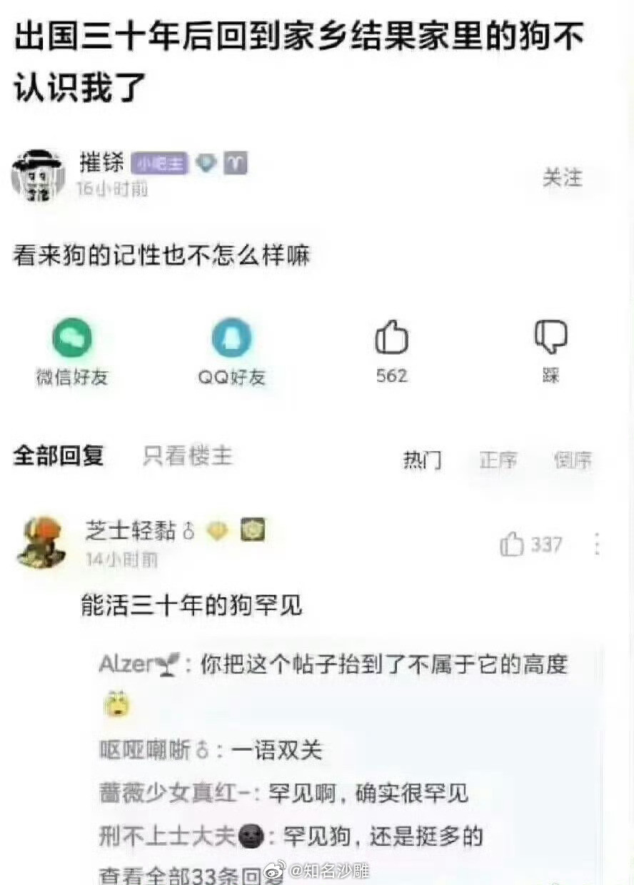 绝对是今年看到最厉害的谐音梗