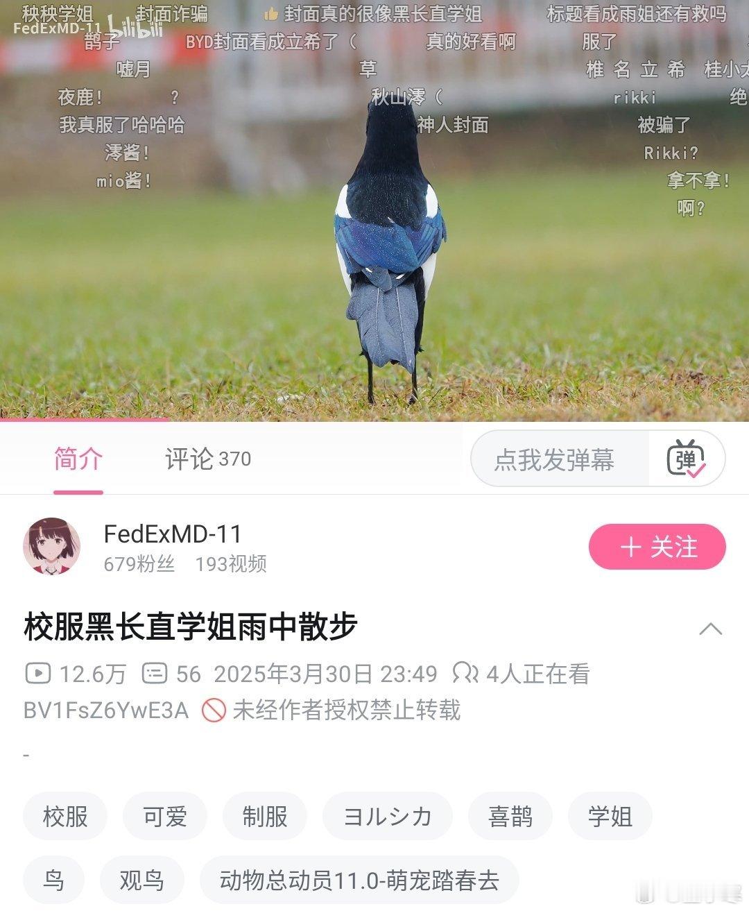 这个学姐就是有点吵​​​