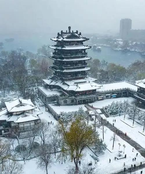 济南这雪，下得“不讲武德”家人们，谁懂啊！3月2日，济南这场雪简直杀疯了，直接