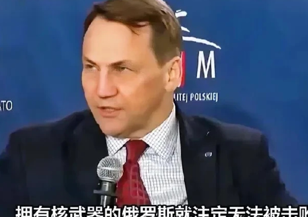 德国外长终于发出了哀叹。网曝：德国外长终于看清了结局。发出了哀叹：俄乌冲突结局