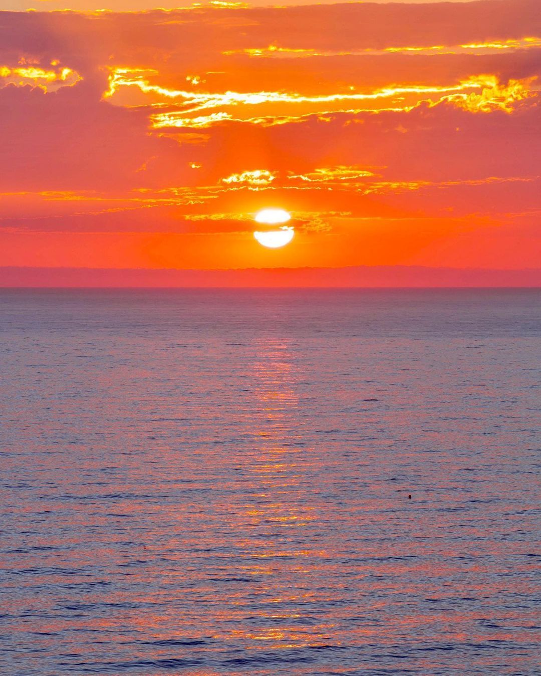 一以贯之的努力，不得懈怠的人生，每天的微小积累，会决定最终的结果。即便精卫填不平