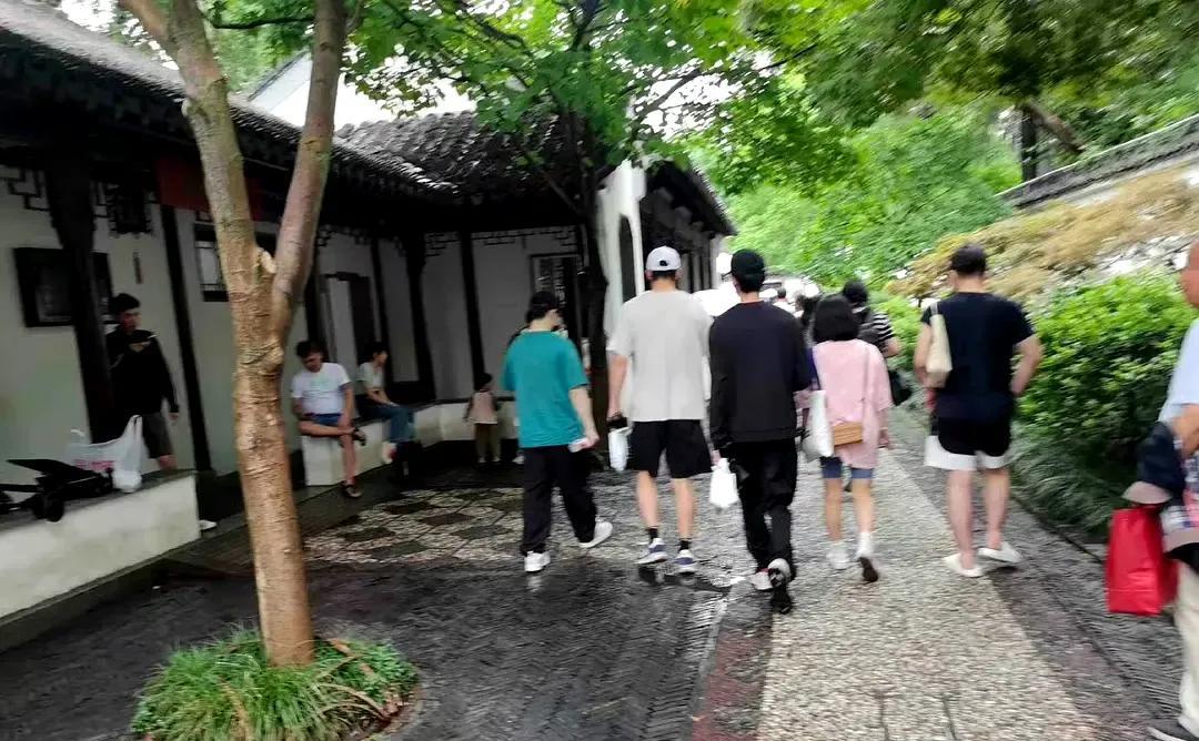 樊振东和潘展乐，李盛豪三个人一起在拙政园游玩，人很多但是有认出的粉丝并没有上前打