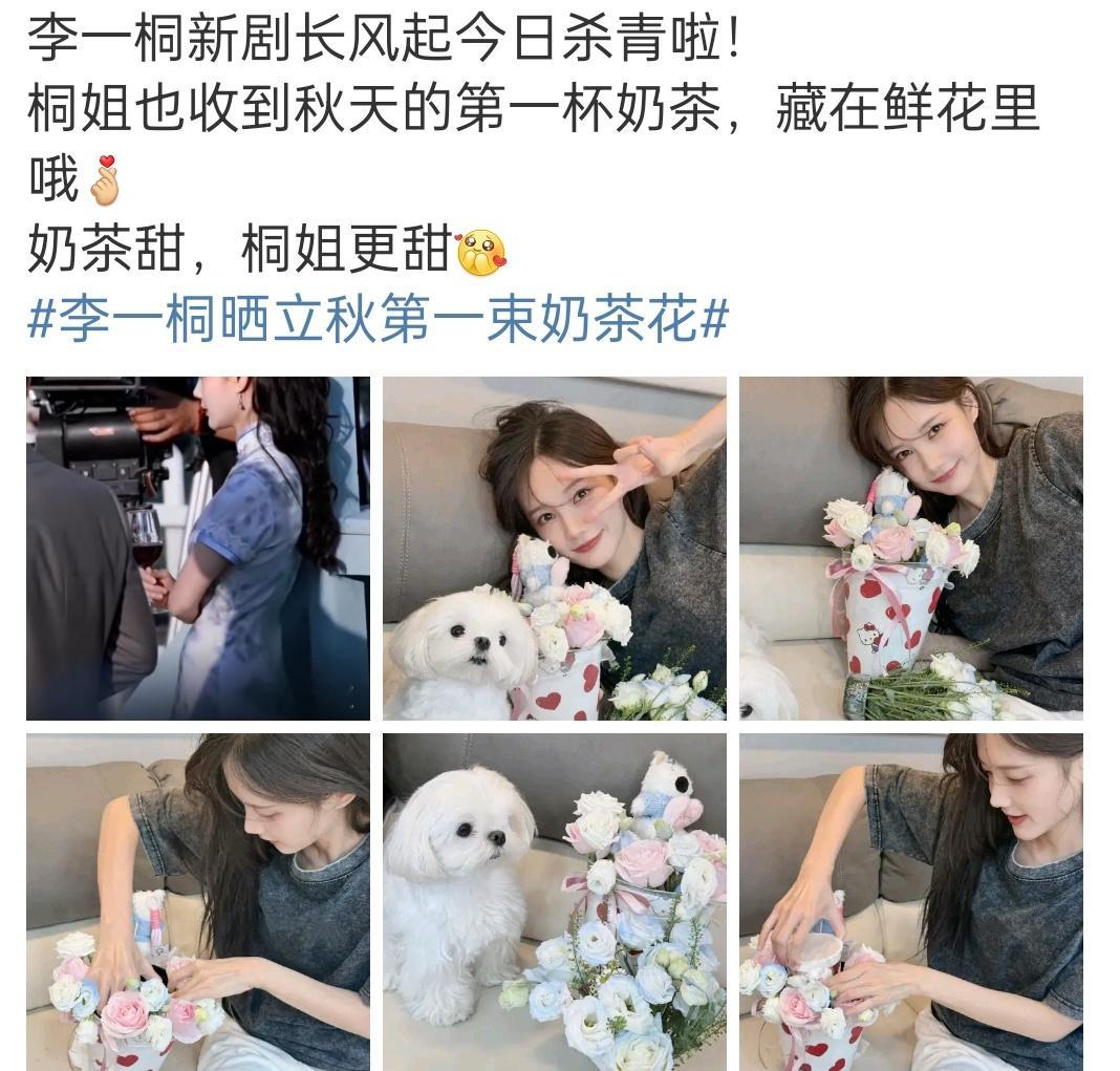 李一桐长风起杀青了？我印象这剧才开机不久，没想到居然也拍了三个多月了​​​