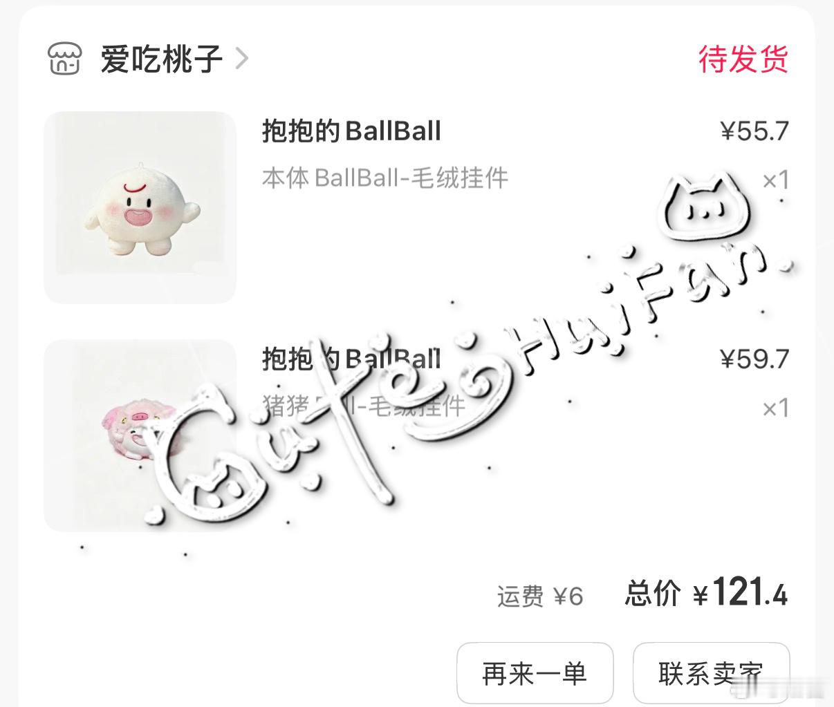 ballball回家专栏·养一只🐽