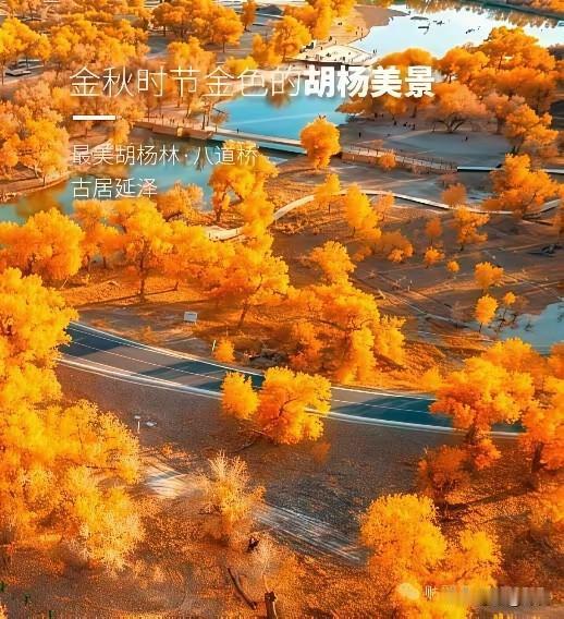 10大“处世智慧”值得学习1、稳住情绪，喜怒不挂脸上成年人的修行，就
