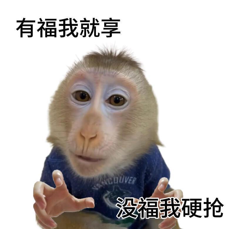 年轻人的问题能有多抽象一代人有一代人的抽象，我们这代人就是主打一个不内耗，只要