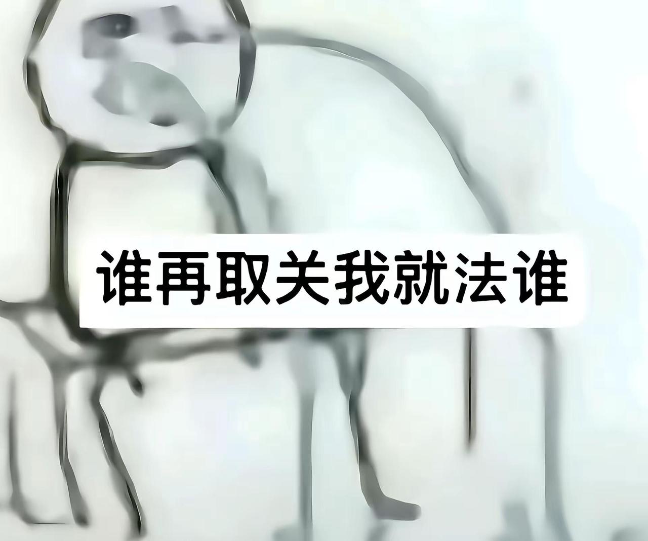 长发t双子