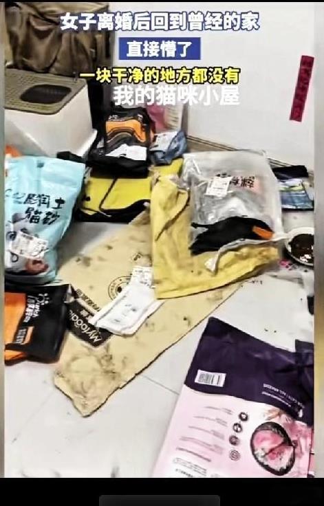 女子离婚数年后回到曾经的前夫家。进门后看到的场景惊呆了，全屋角角落落没有一块干