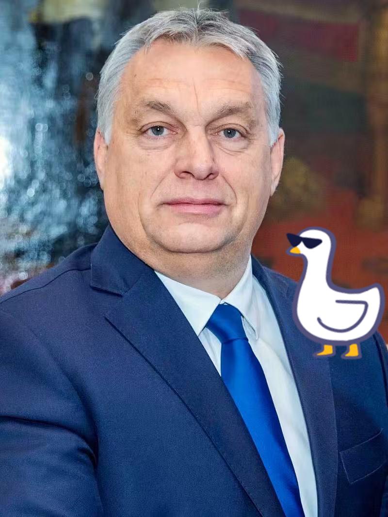 快讯！匈牙利总理宣布了！2024年11月22日，匈牙利总理欧尔班在社交媒体发