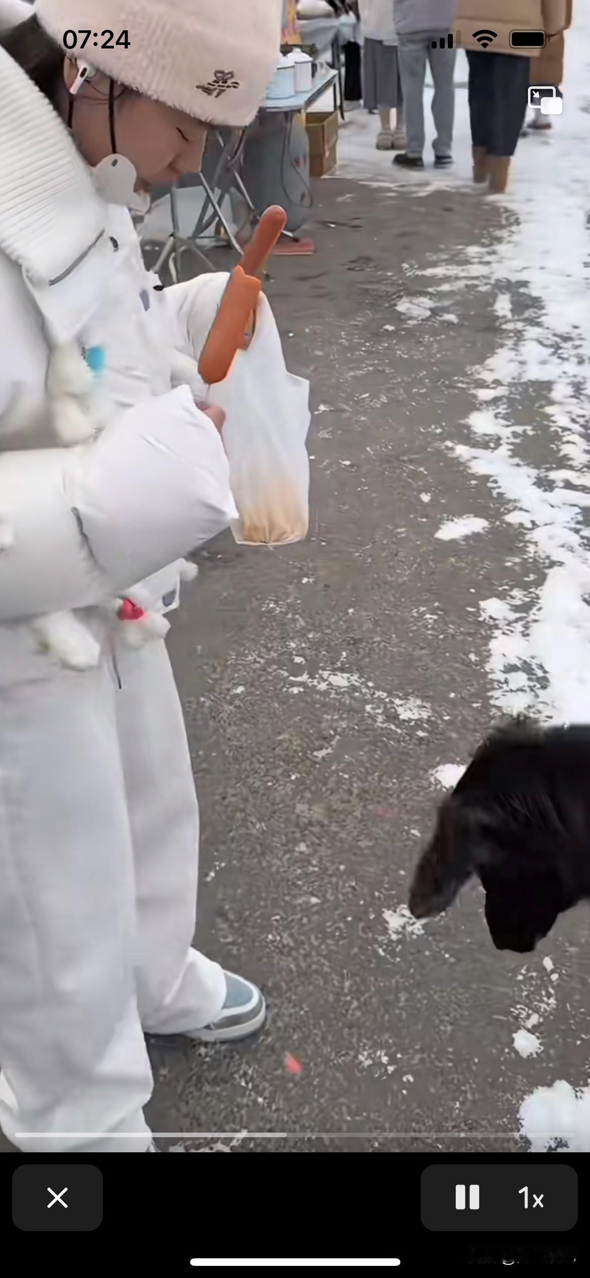 全红婵还是个不懂事的孩子啊，看看在这个雪地里吃香肠要两根，不知道这些是垃圾食品吗