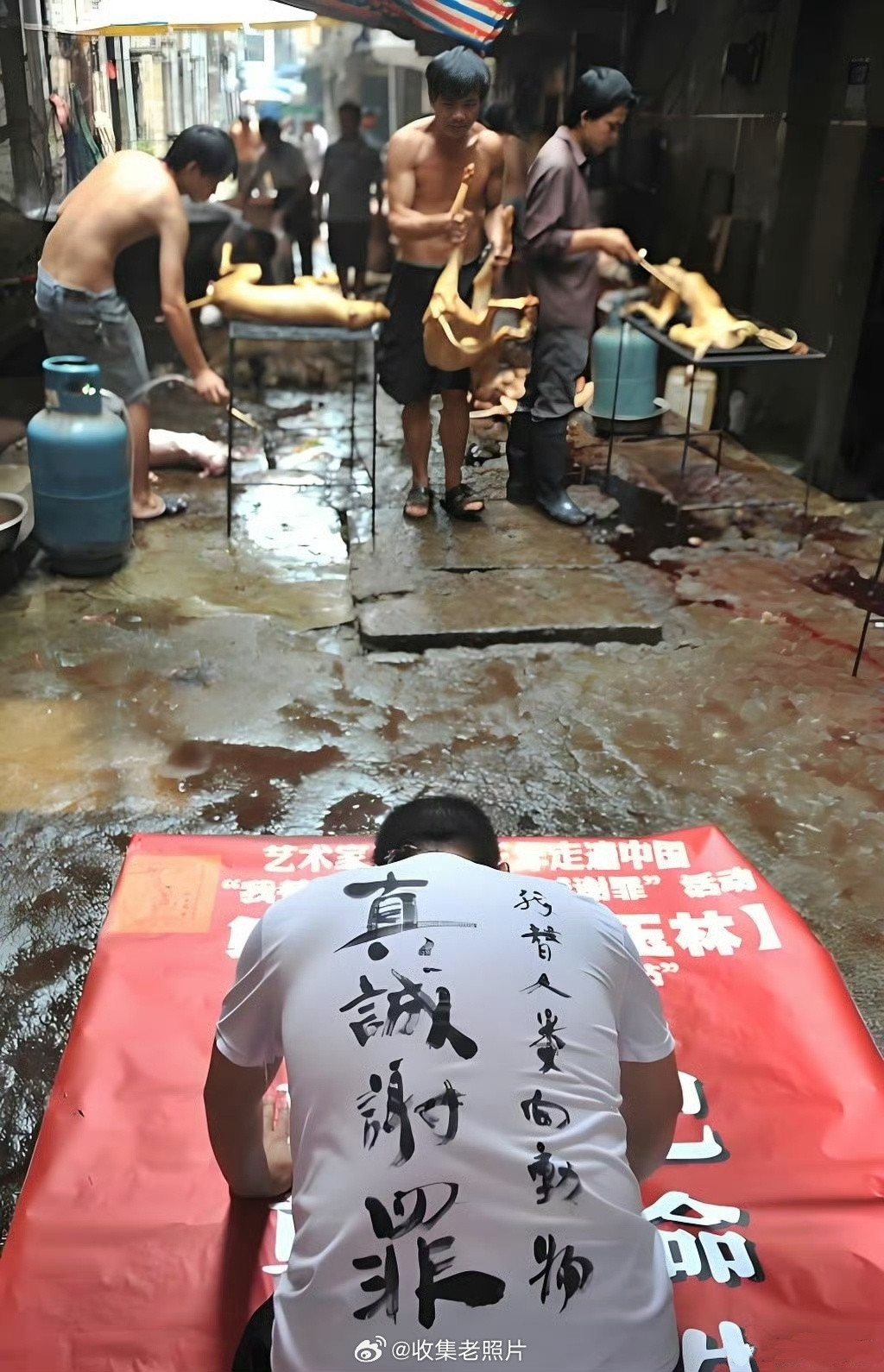 广西玉林，爱狗人士替人类下跪谢罪。