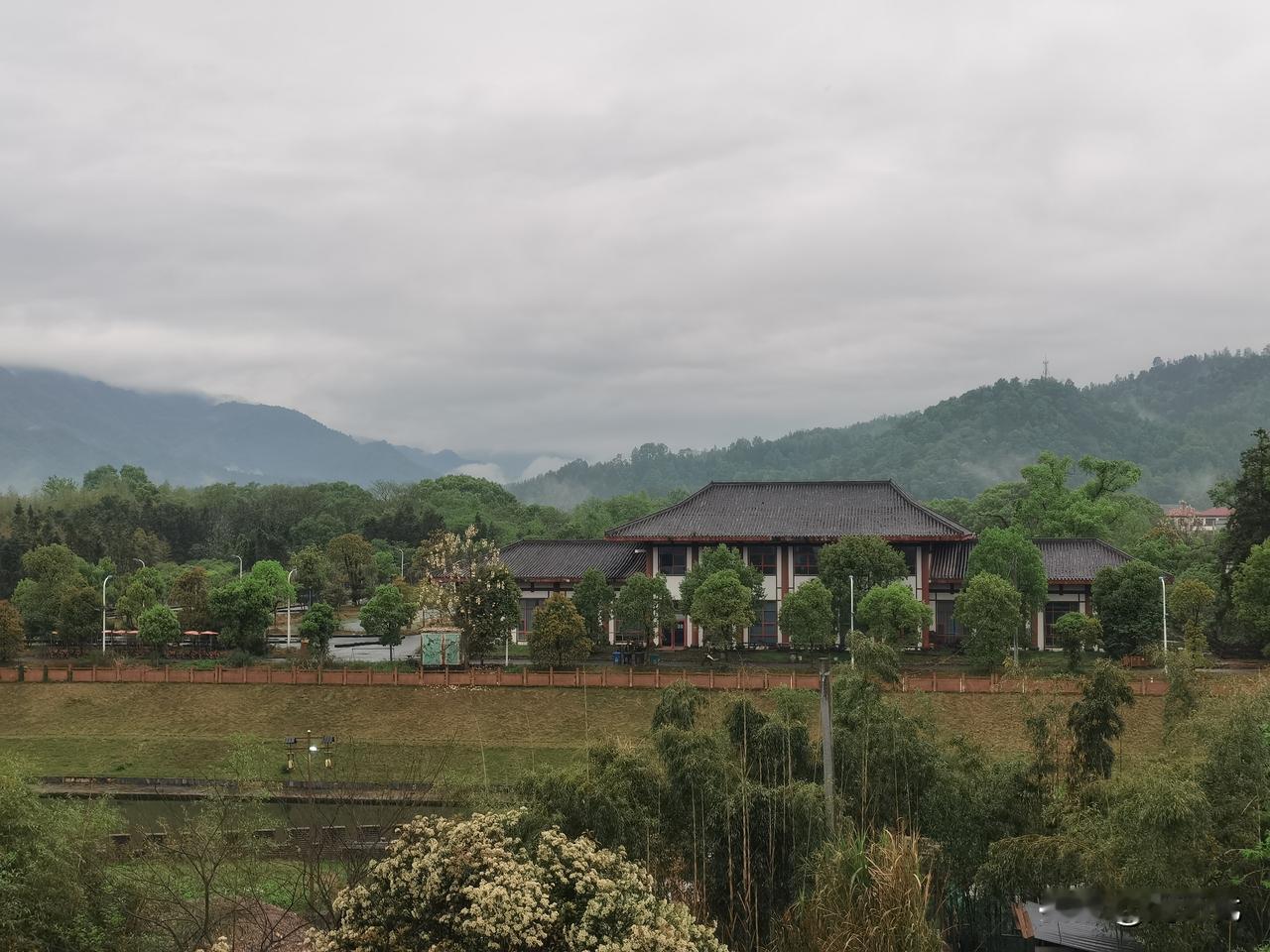 炒股的朋友，未来的方向在哪里？如果没有能力的，不会分析政策的，没有什么技术的。