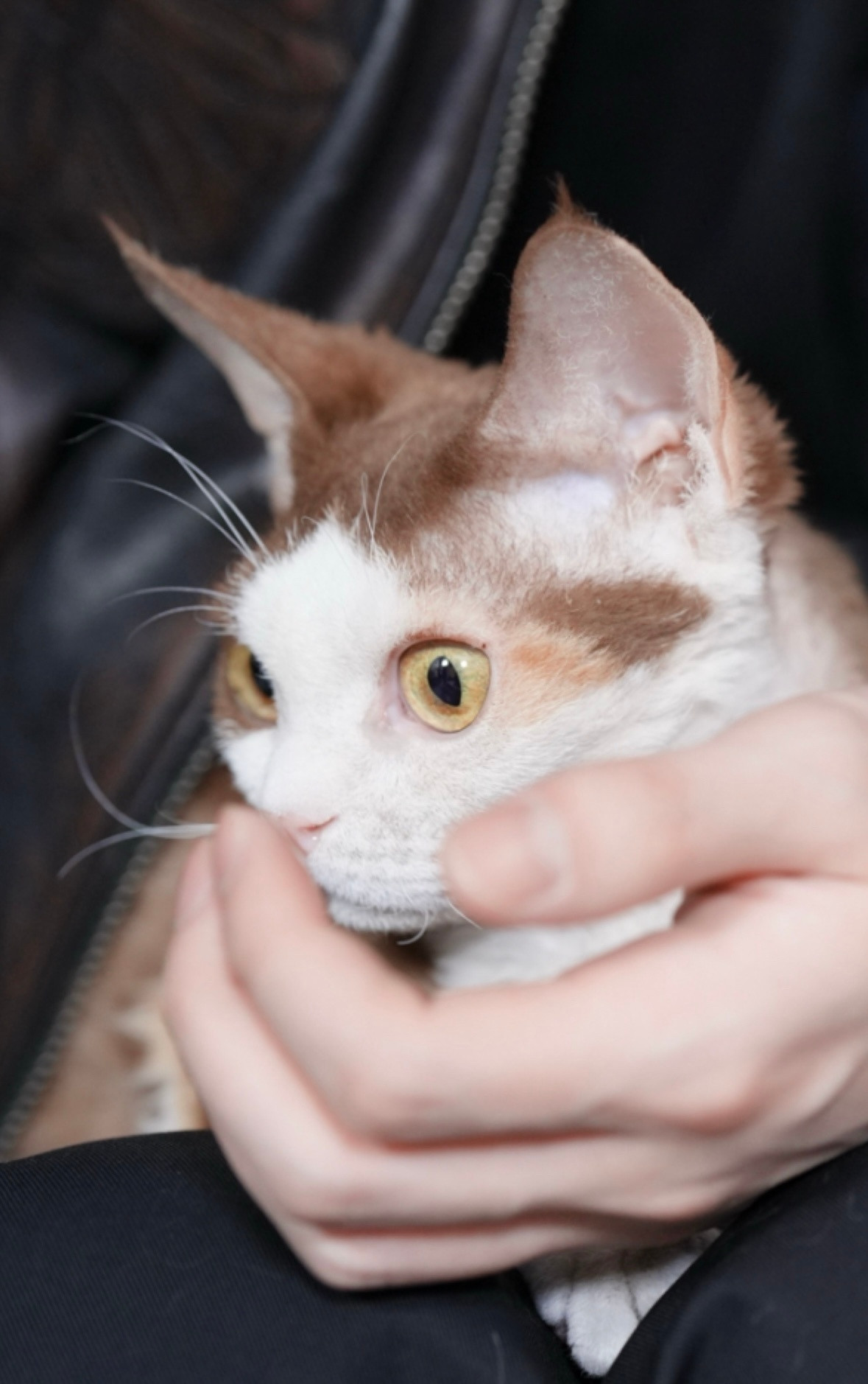 宝贝，爸爸的手指是不是香香的