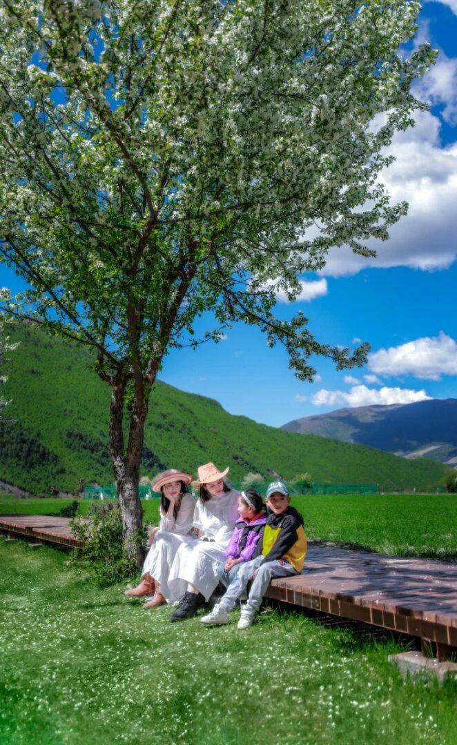 五六月，当城市里的暑气刚刚冒头，川西高原却迎来了一年中最富诗意的时节。积雪未消