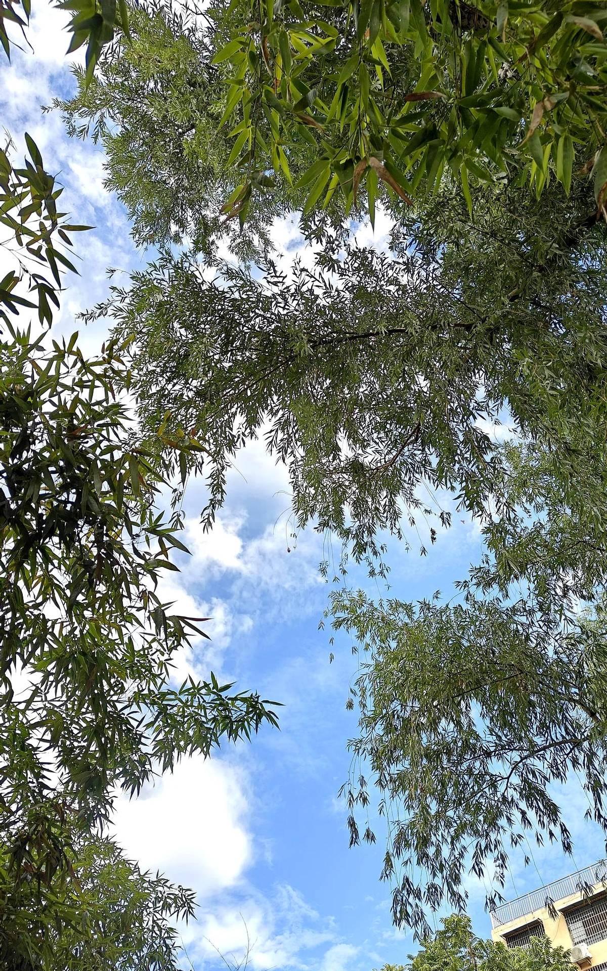 退休之后才发现，最好的生活方式就是独处。一个人静静的待着，不和任何人来往。不
