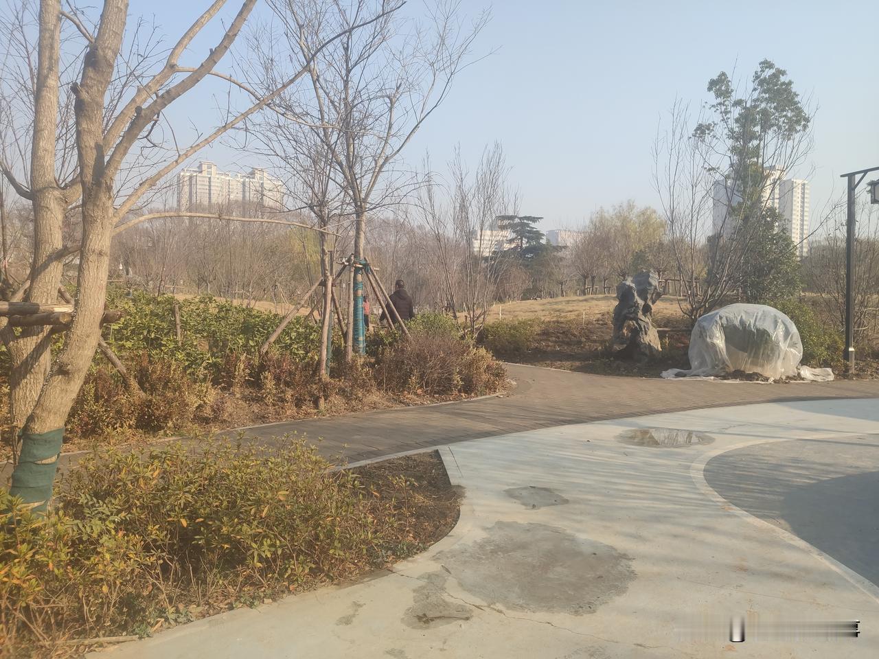 大千世界，真是无奇不有！我见过遛狗、遛猫，甚至遛鸡、遛鸭、遛鹅的，但从未见过遛铃