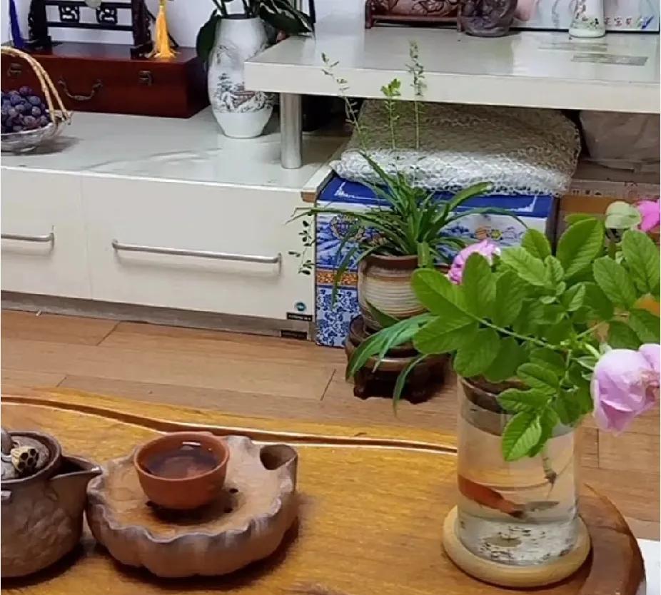 还我家没有工作说的笑死人了，三十几万的车你们有吗？柴桑大姐直播放了一段小熊的音