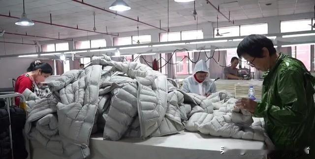 在浙江平湖，羽绒服产业创造了一组令人瞩目的数据：熟练工人月收入可达1.5万-2万