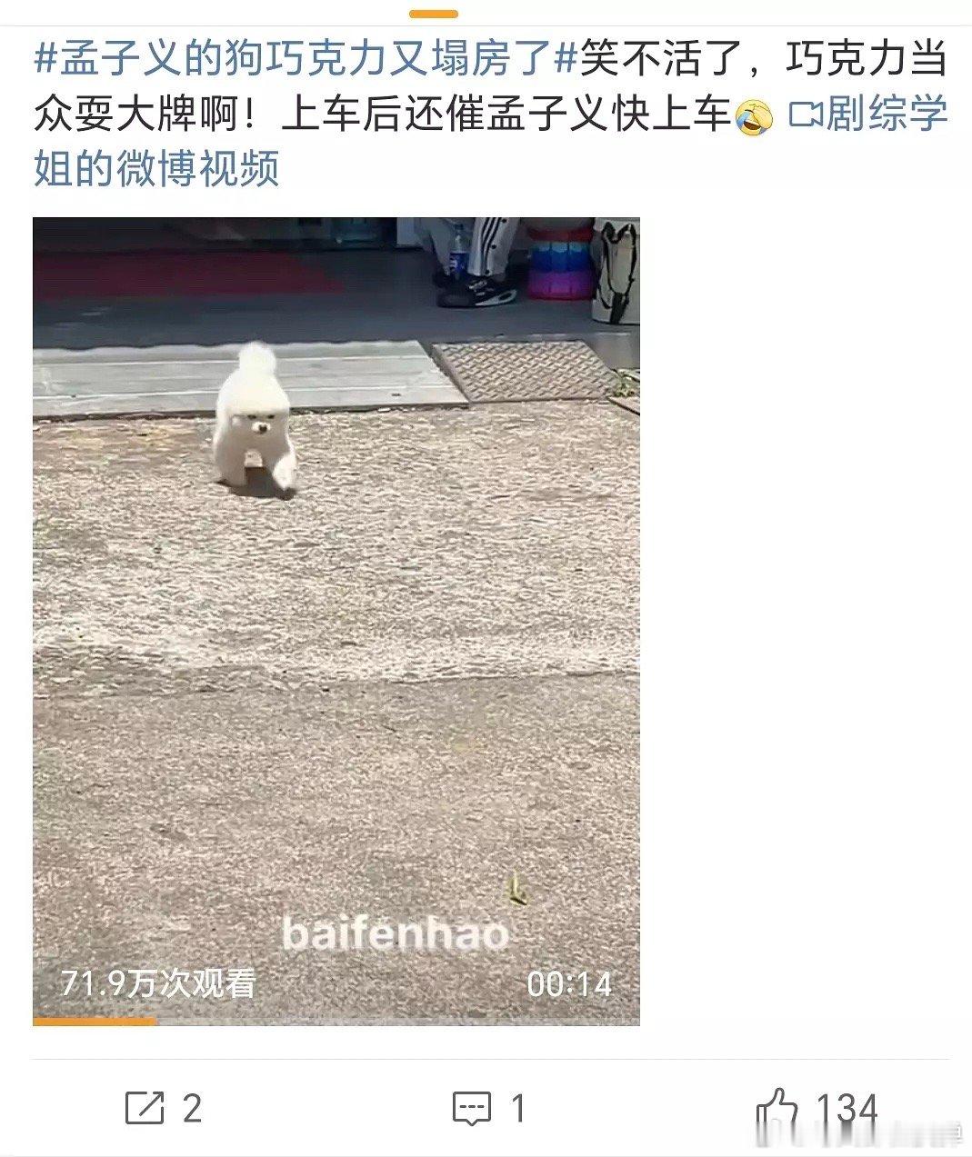 孟子义何与拥抱路透孟子义的宠物平时都牵绳吗？就连我们小区遛🐶都要牵绳，看了个视