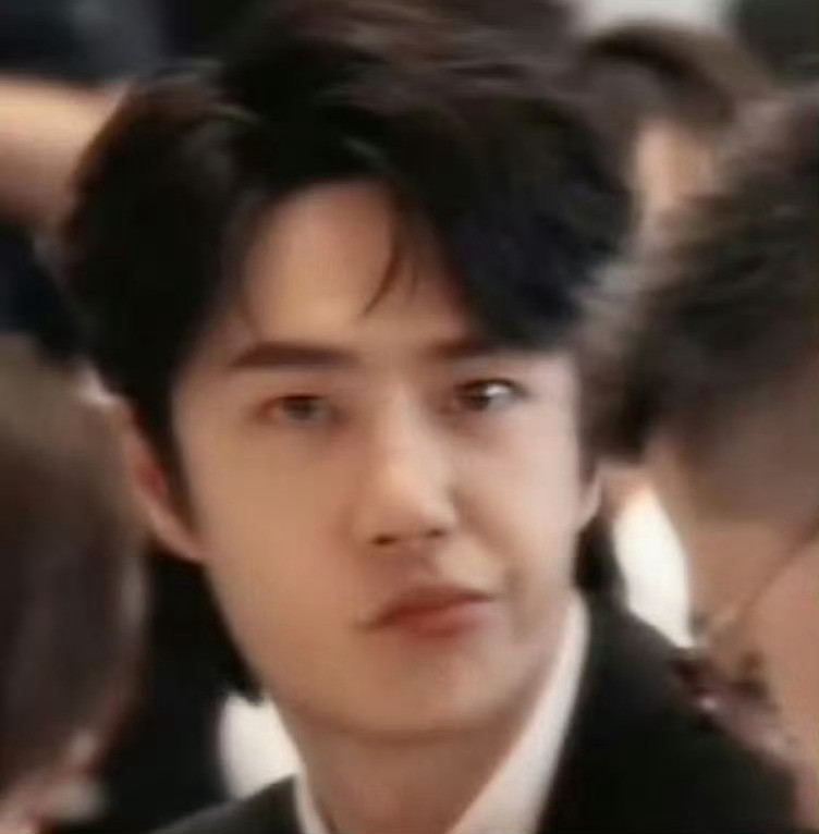 可爱的歪嘴小猫