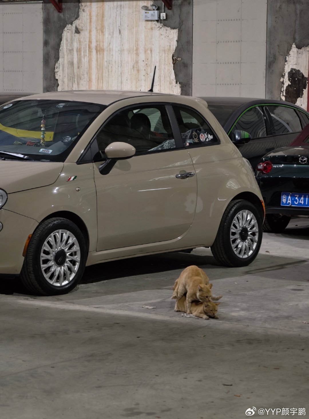 公司车库，我在群里发了图1，同事发来了图2