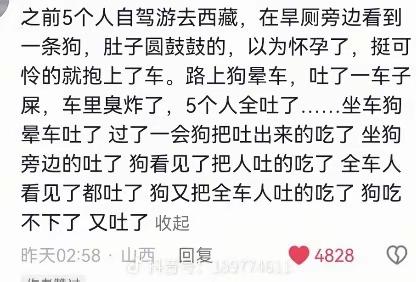 我晕、我看着文字都要吐了