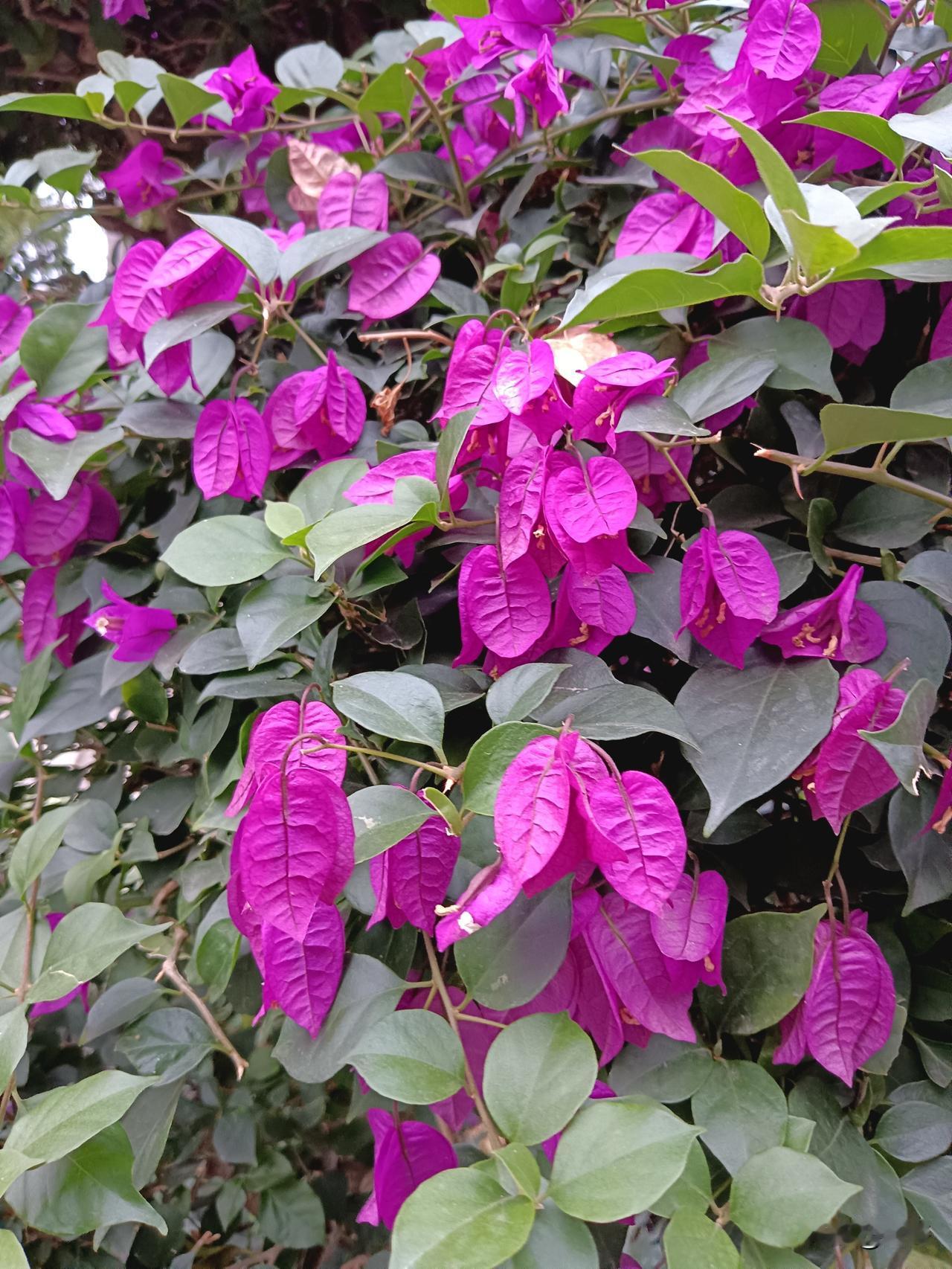 与人相处，不必全掏一片真心。多看，多听，少争辩，少较真。看懂算计，认清城