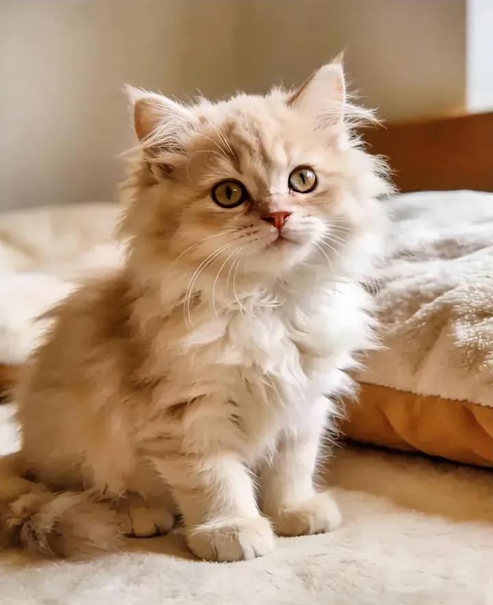 谁还没踩过人生低谷？迷茫、焦虑、觉得撑不下去时，记住这3件事就够了！1.先