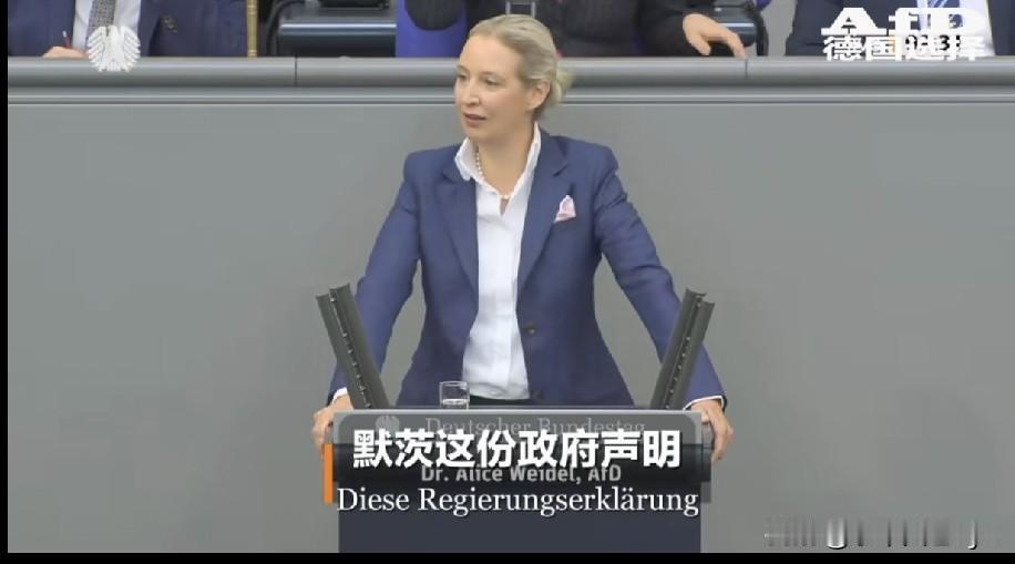 6月11，德国选择党党首魏德尔在联邦议院发表主旨演讲，强烈批评默茨政府的内外政策