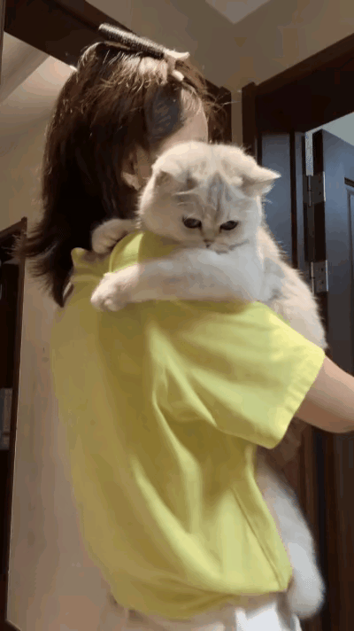 哎呀，你看这猫咪，跟个小宝宝似的，抱着脖子不撒手，这也太幸福了！它哪是不想睡啊