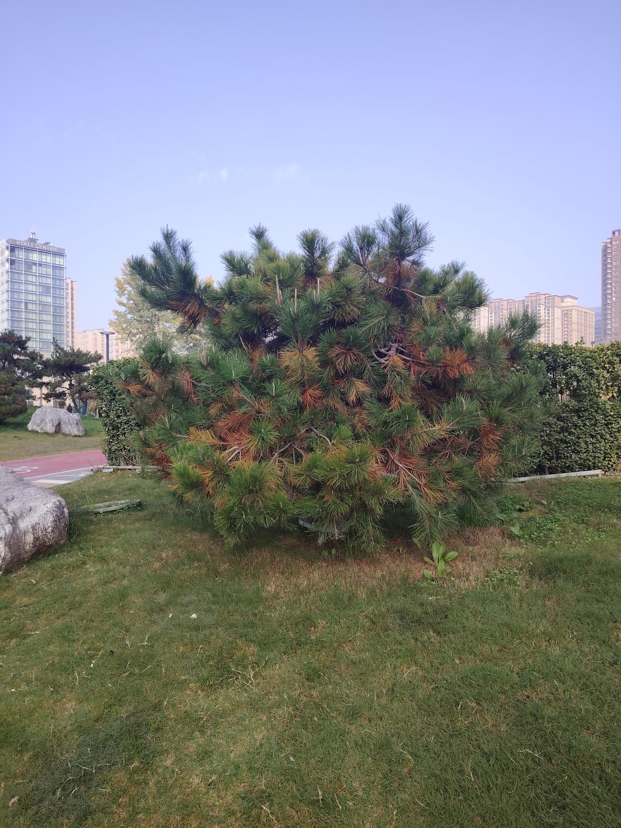 有位网友问能用一句话证明你是在公司的最底层吗他得到的神回复是他们好像都开会