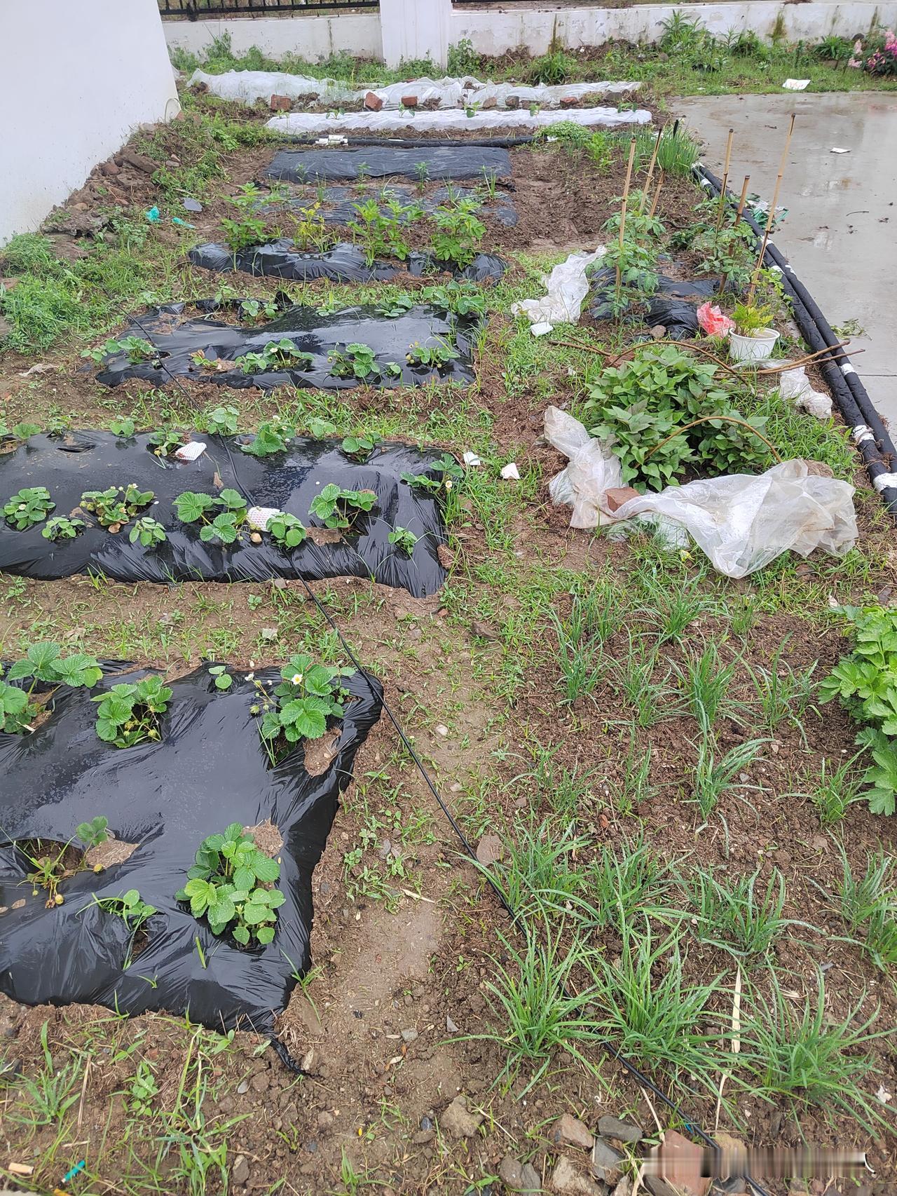 能不能发一张你认为最美的风景照片