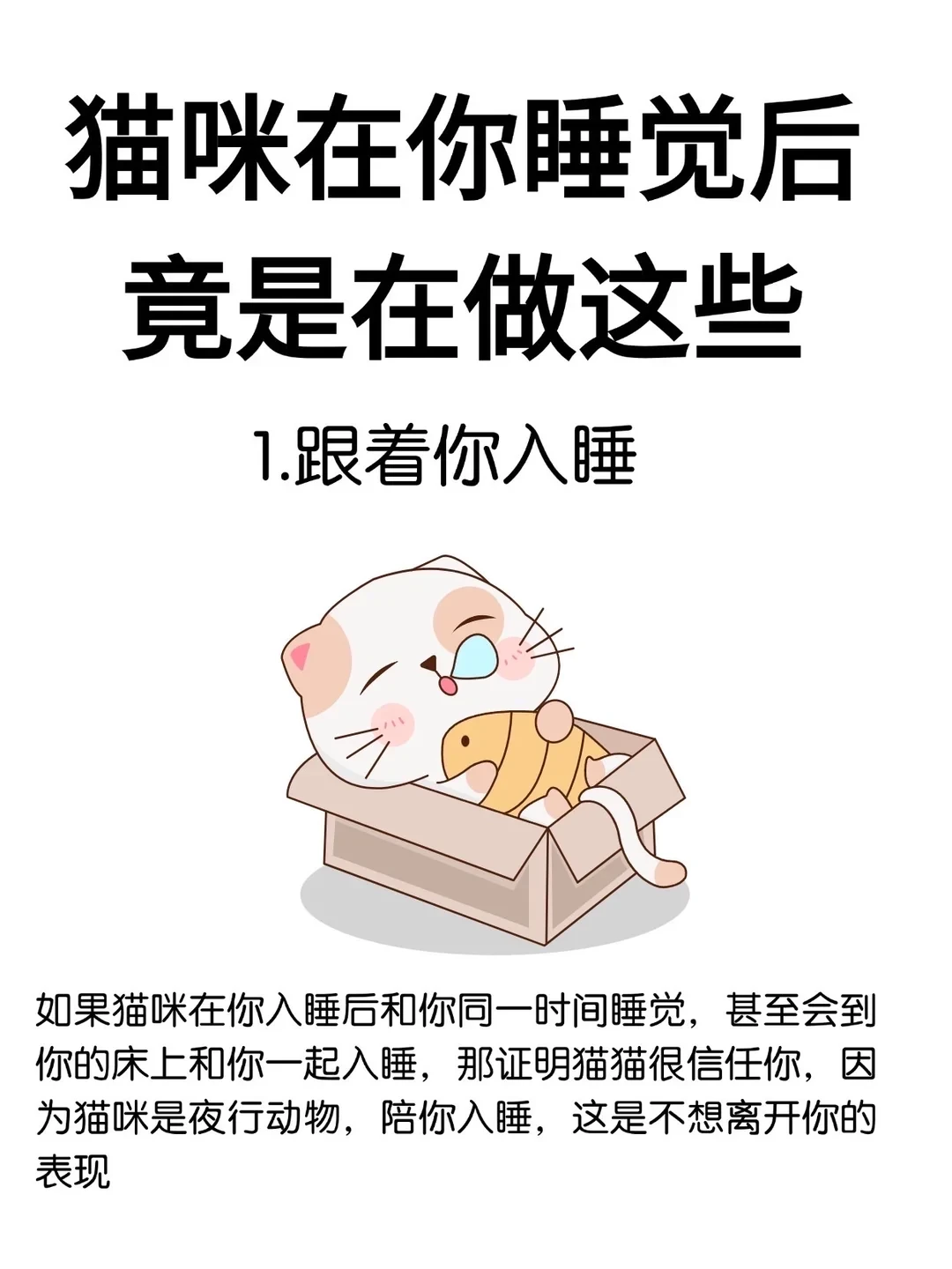 猫咪在你睡觉后竟是在做这些