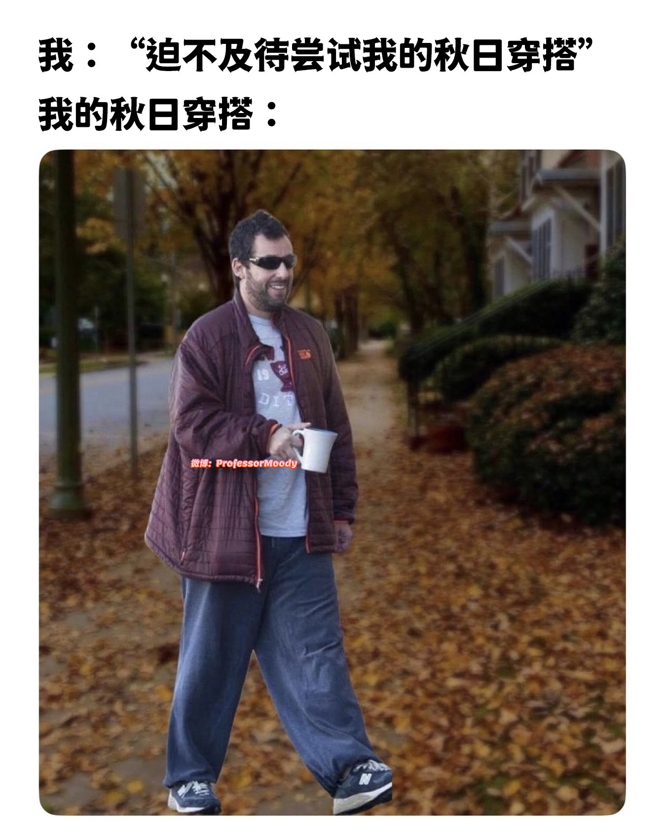 me_irl:meme​​​