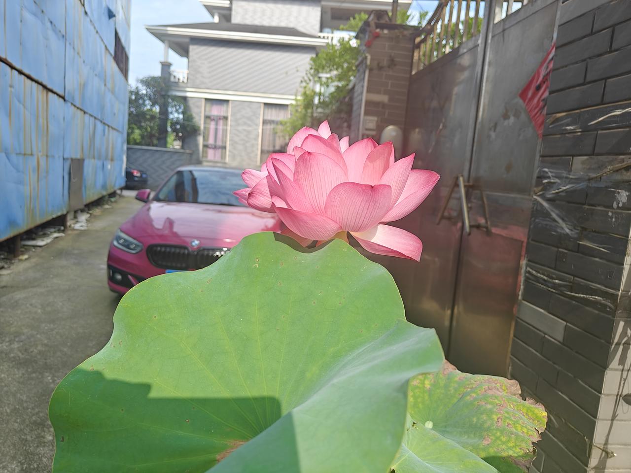 我真的想不通要崩溃了，你说生儿子的人就这么难吗？我只有一个儿子，从小我就很爱