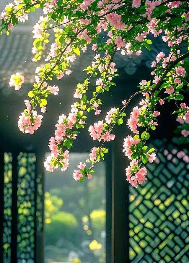 春天的景色最美你还在等什么？等夏天满头大汗？等秋天落叶心烦？等冬天裹成