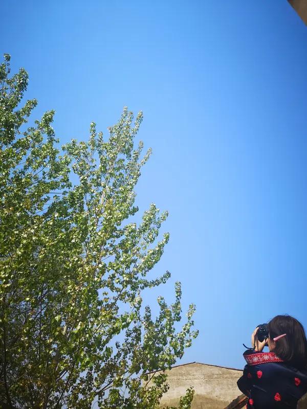 我姐当初要远嫁，爸妈那是死活不同意啊。可我姐倔得很，又哭又闹，甚至还闹上吊，最后