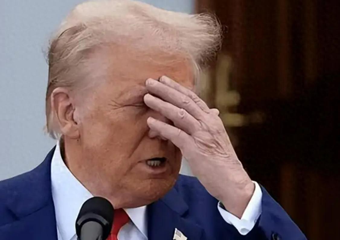 杀鸡儆猴！美国都忍不住骂一句“蠢猪”中俄要拿日本开刀了！特朗普打电话。